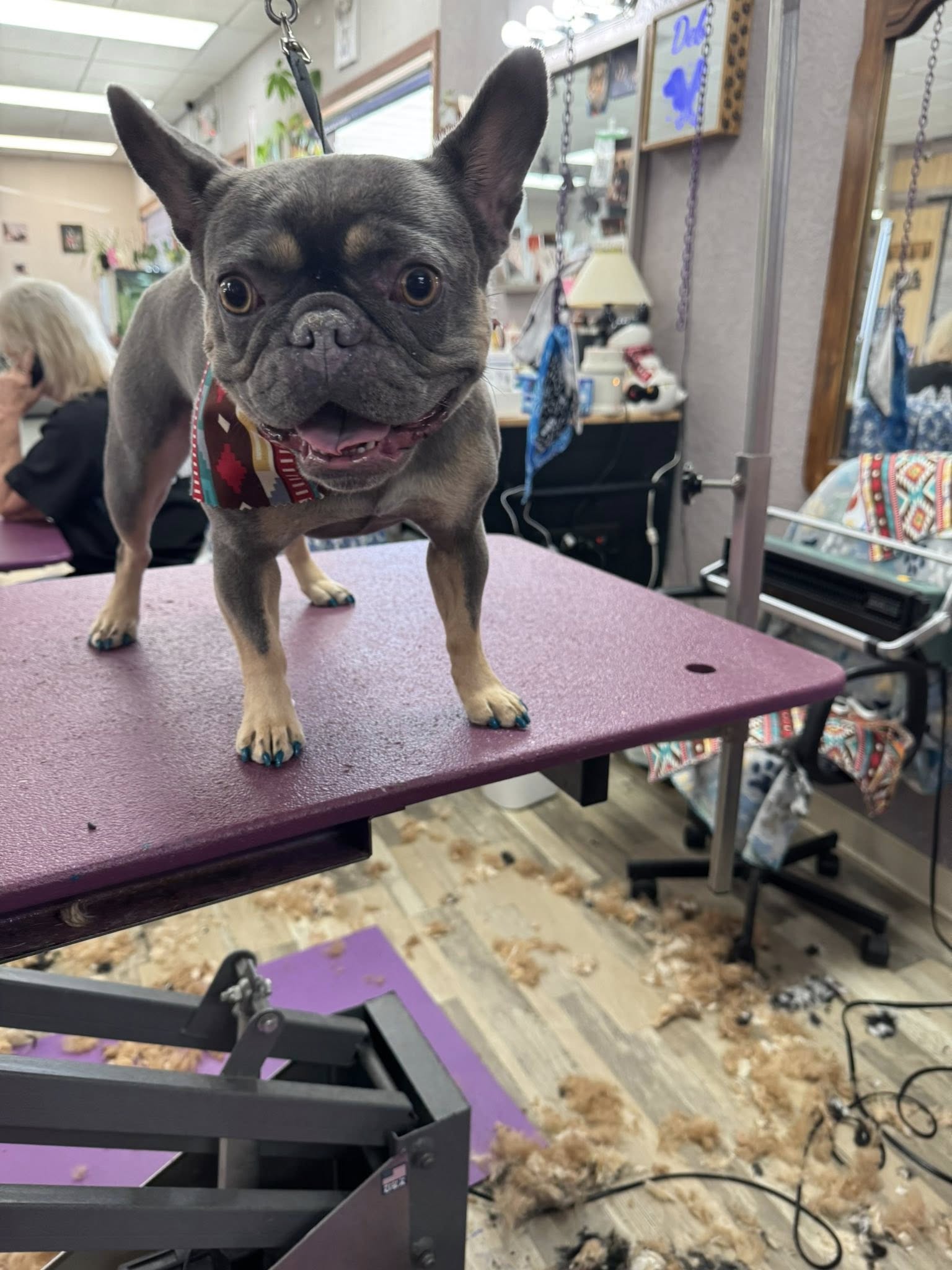 All Pro Pet Spa LLC Rapid City