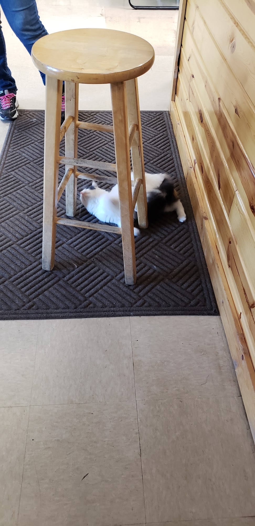 Animal Health Center Redfield