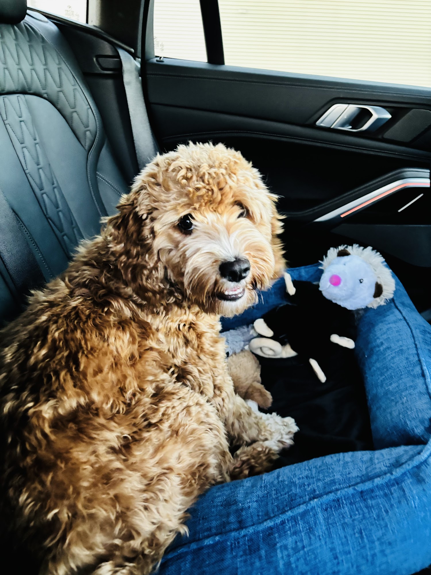 EarthWise Pet Supply & Grooming Sioux Falls Sioux Falls