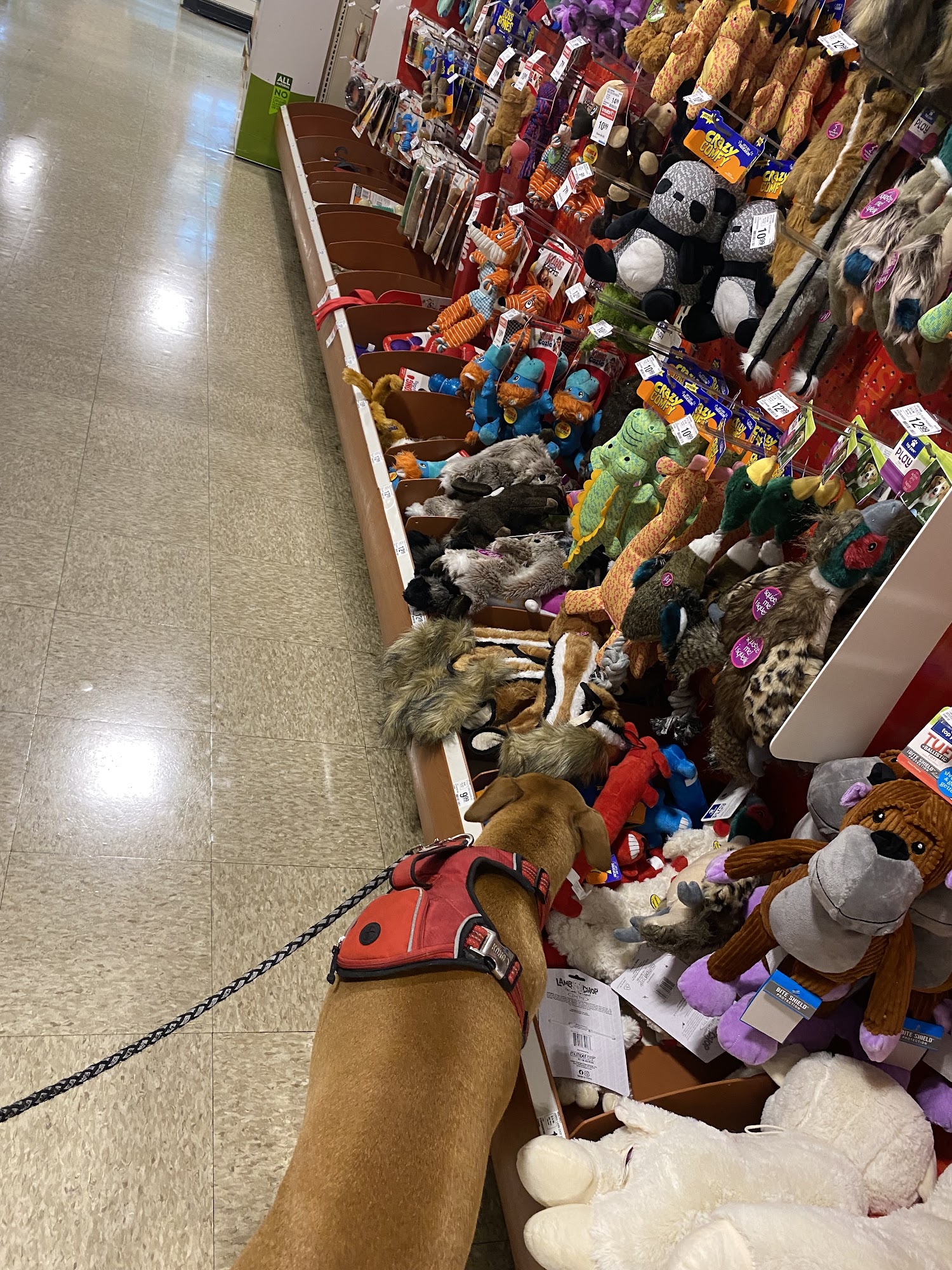PetSmart Sioux Falls