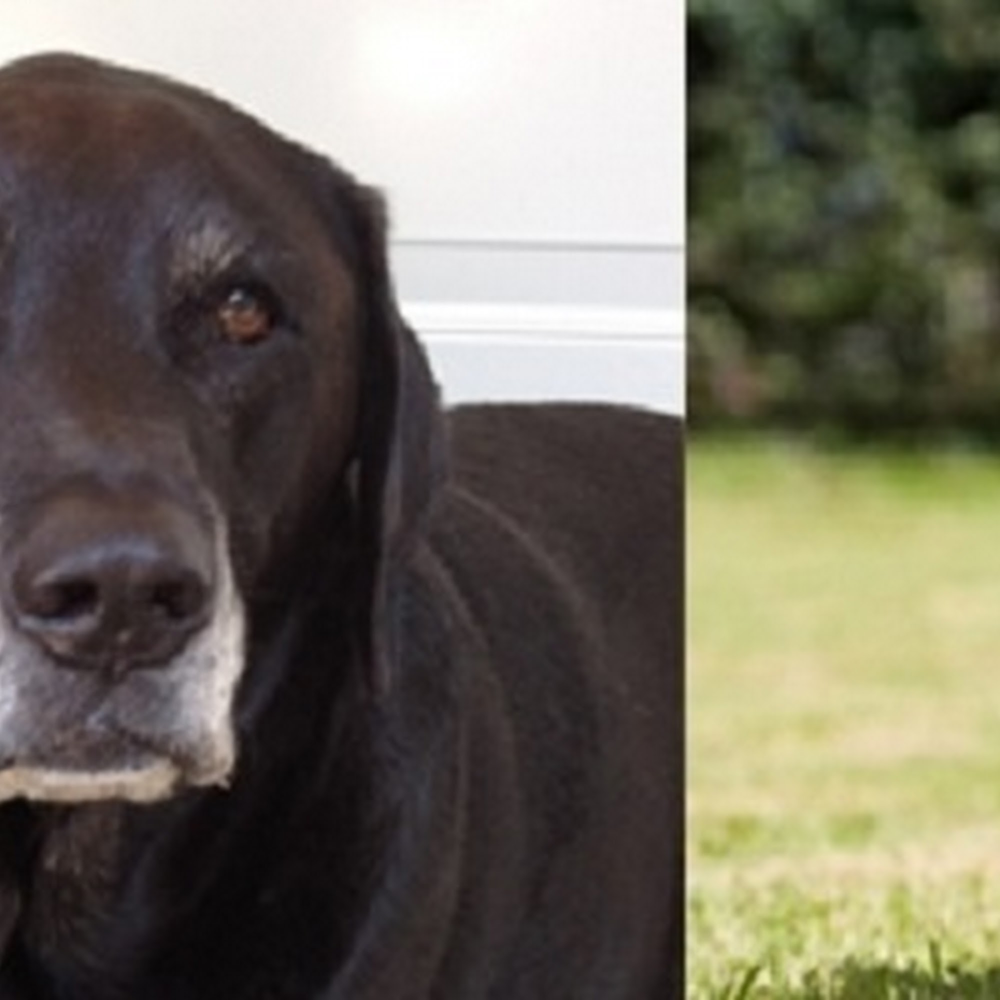 Heather Ridge Pet Hospital Sioux Falls