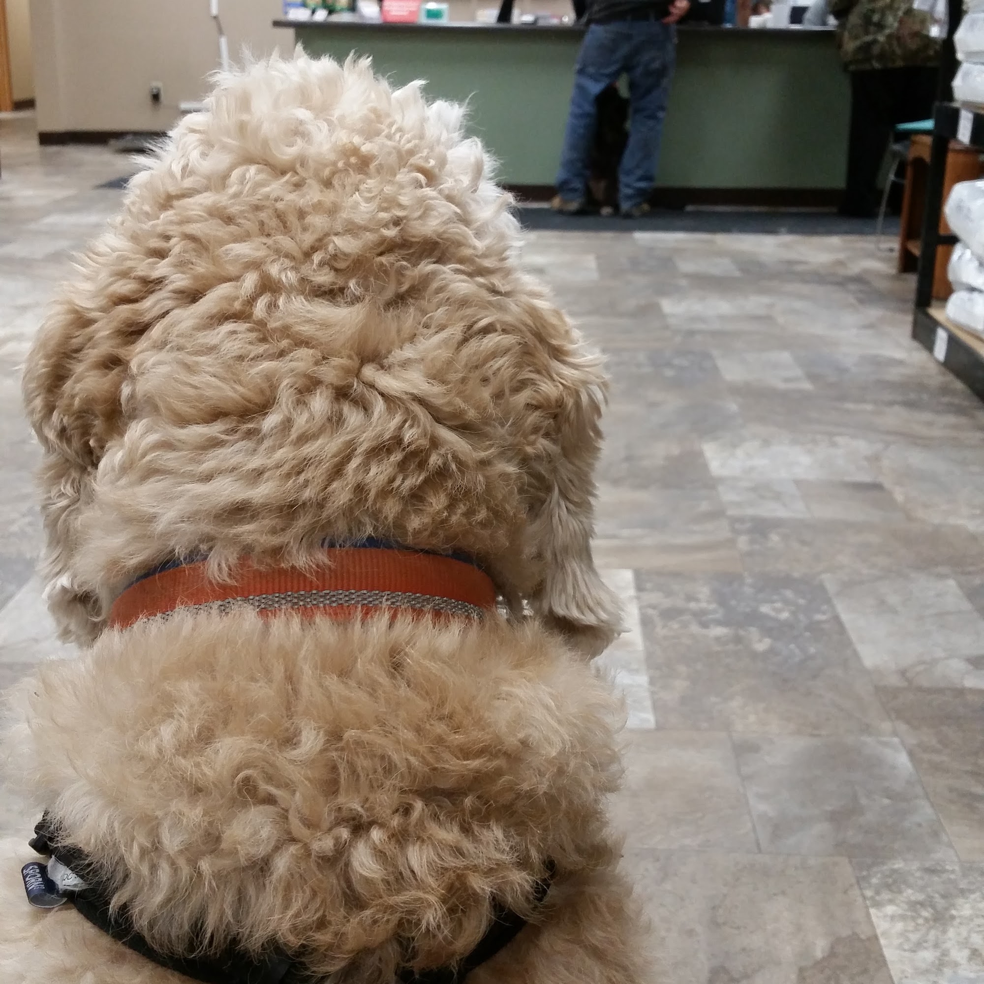 Sioux Nation Pet Clinic Sioux Falls