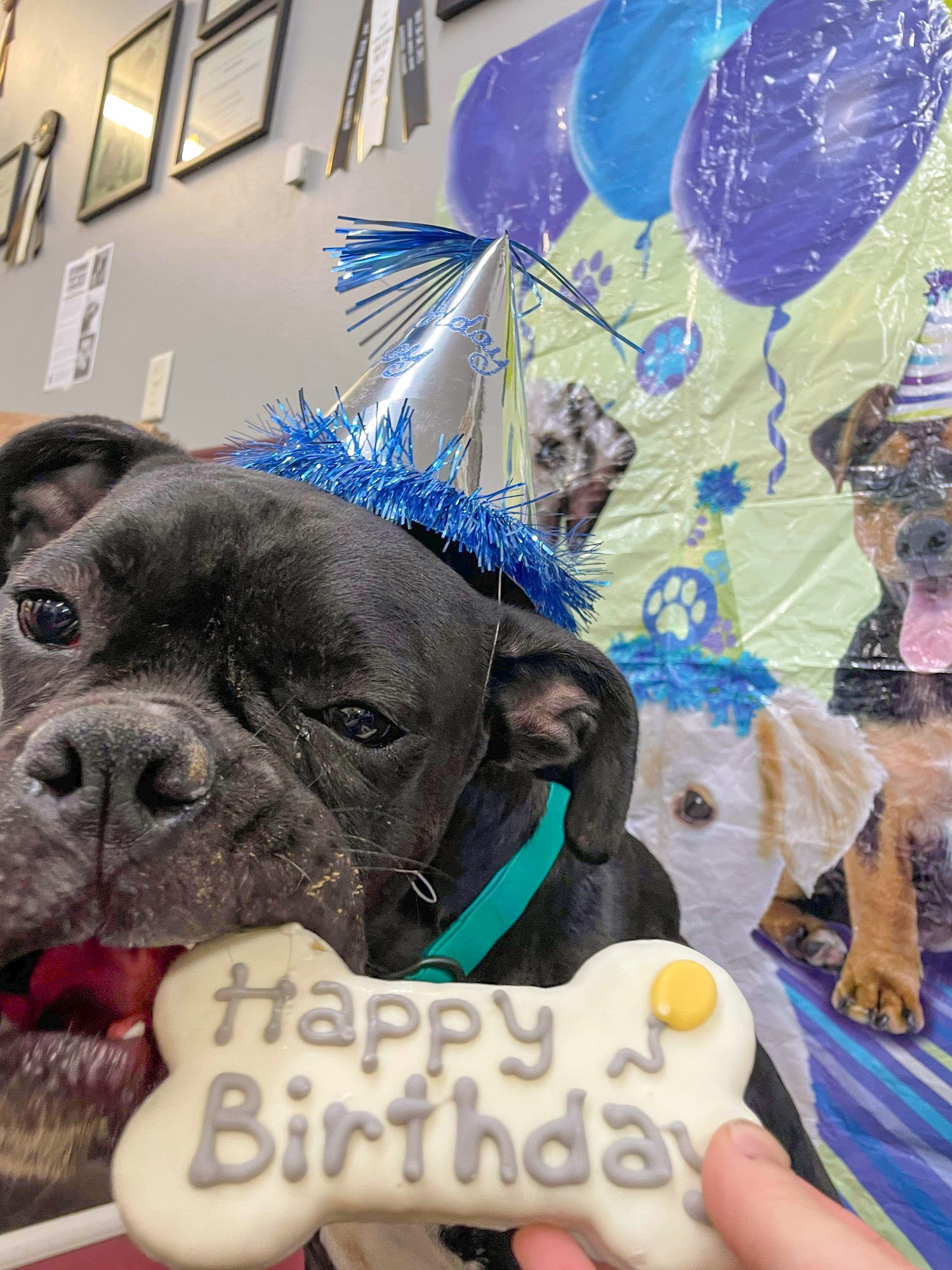 SDK West Sioux Falls