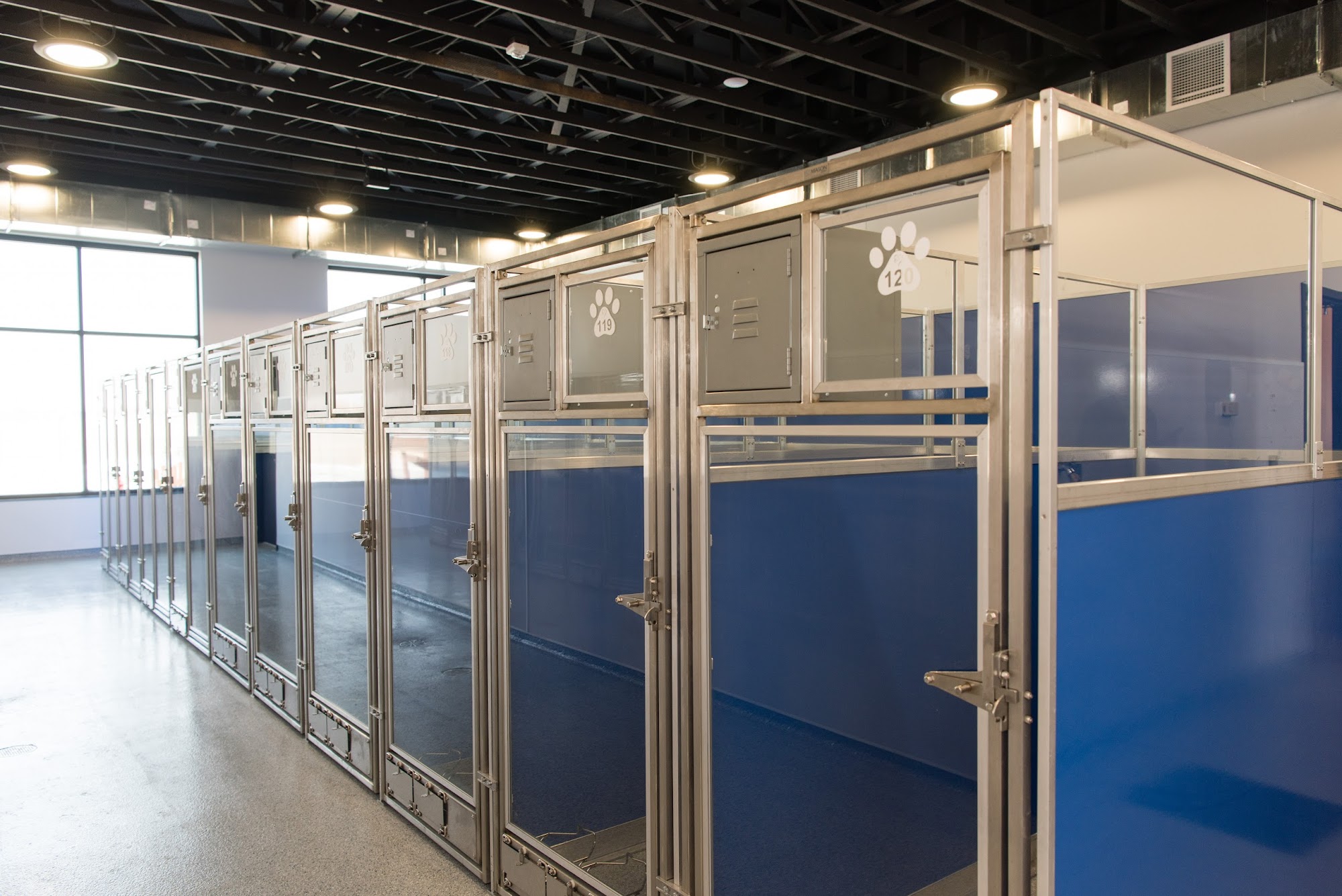 Paws Pet Resort Sioux Falls