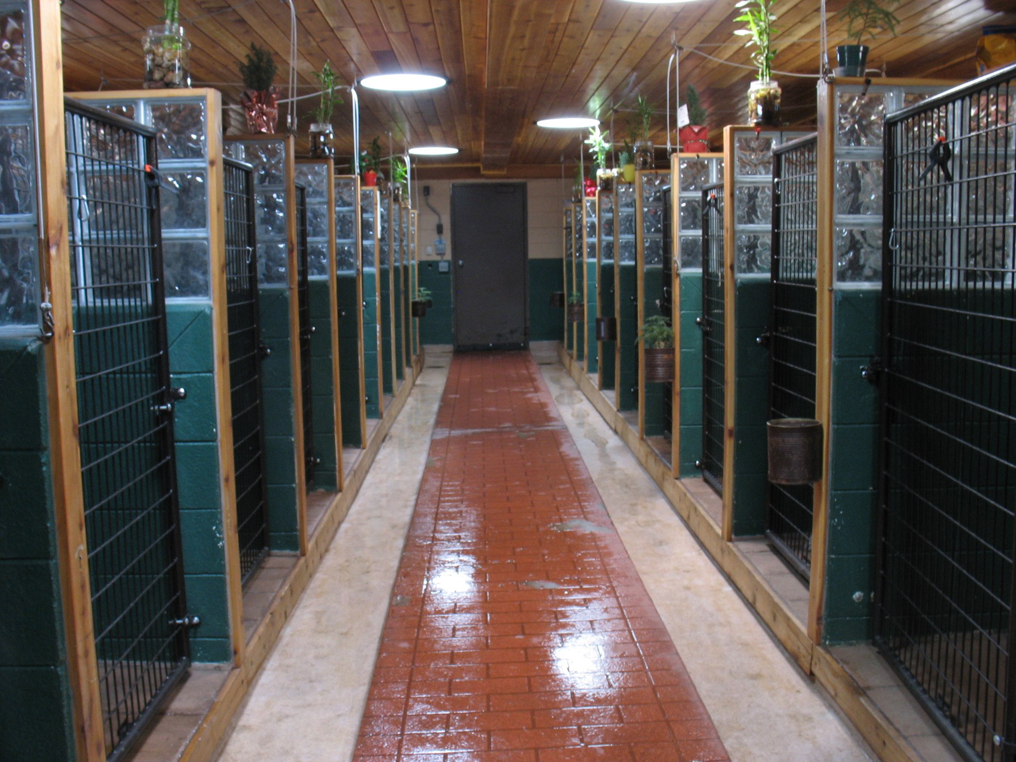 Hidden Paradise Pet Resort Sioux Falls