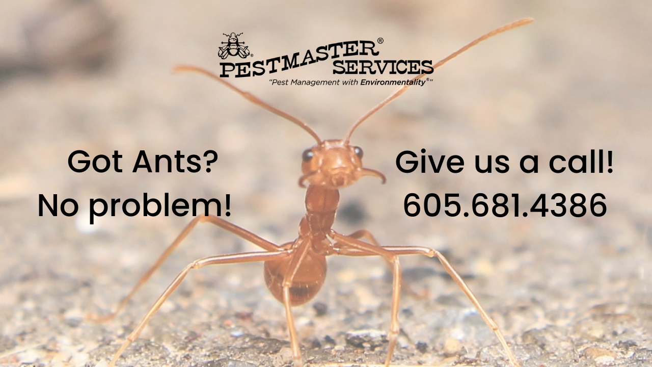 Pestmaster Sioux Falls