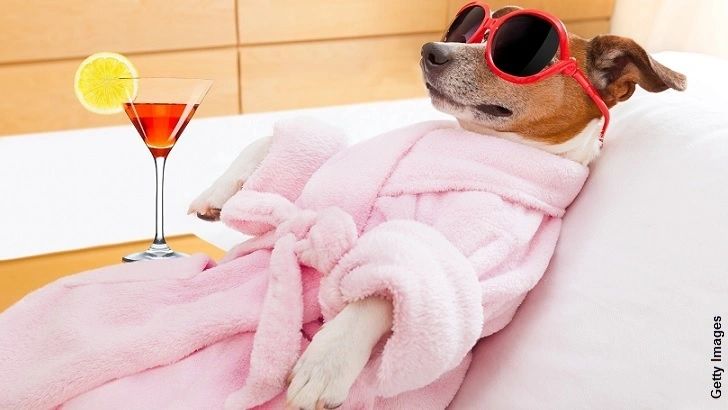 Paws in Spaws Sioux Falls