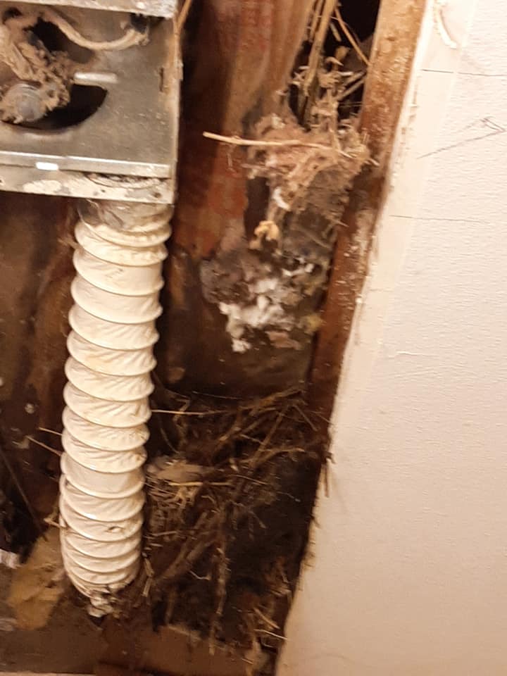 King's Plumbing Service