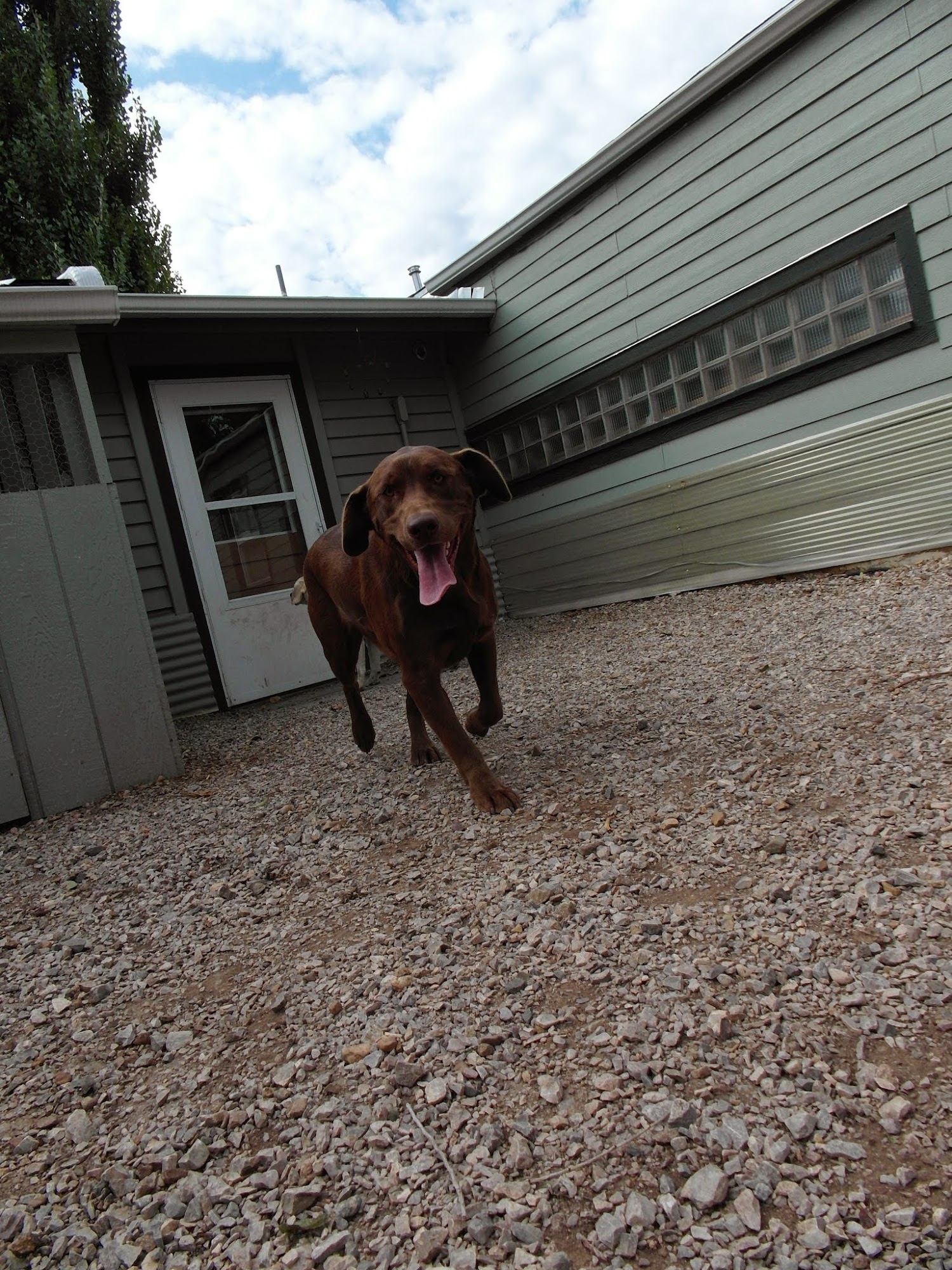 Spearfish Groom & Board Spearfish