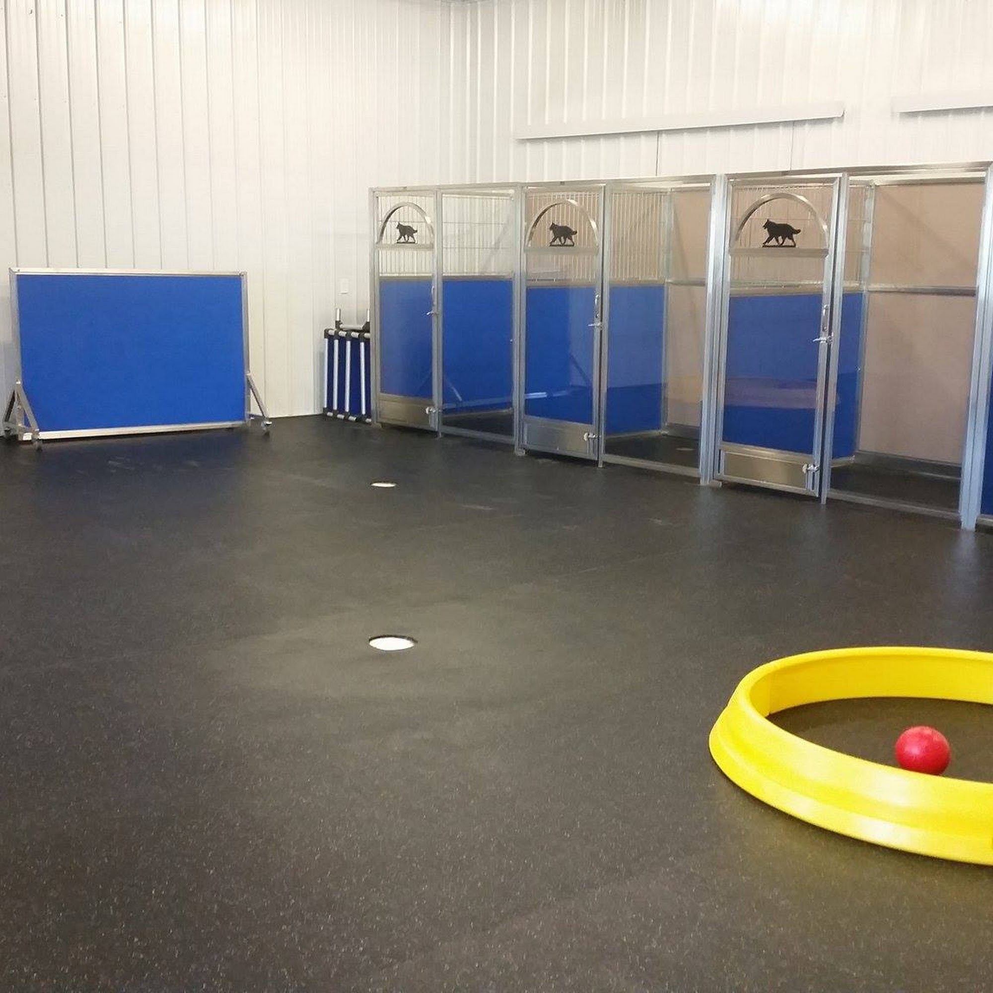 Paws & Relax Spearfish