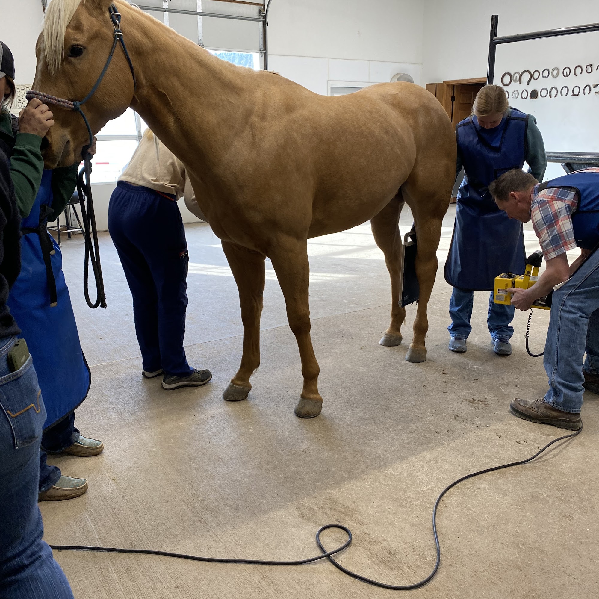 Northern Hills Veterinary Clinic Large Animal Sturgis