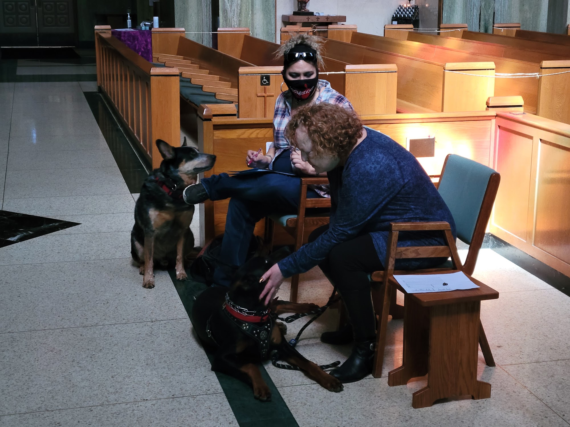 Elite Cerberus Canines Services Sturgis