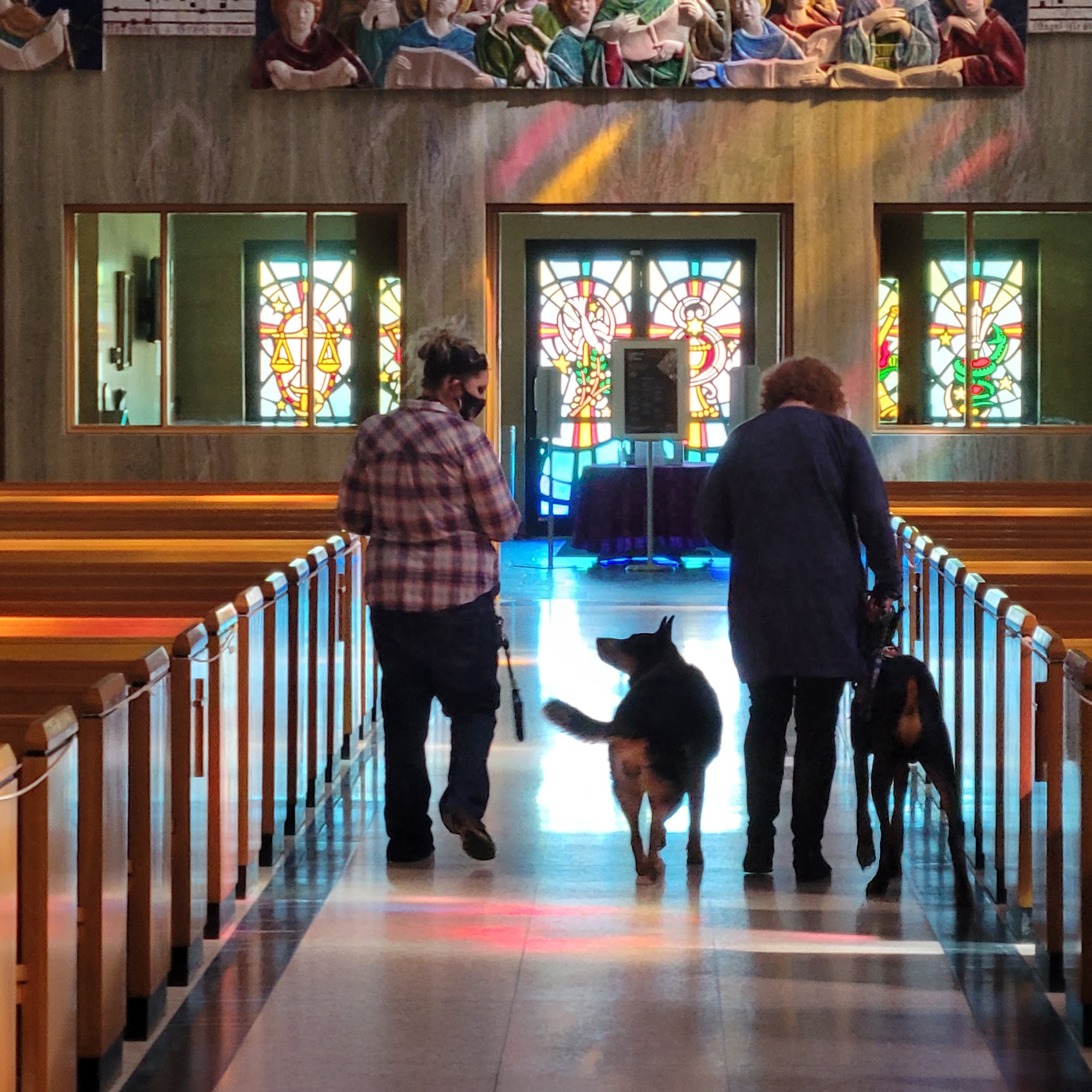 Elite Cerberus Canines Services Sturgis