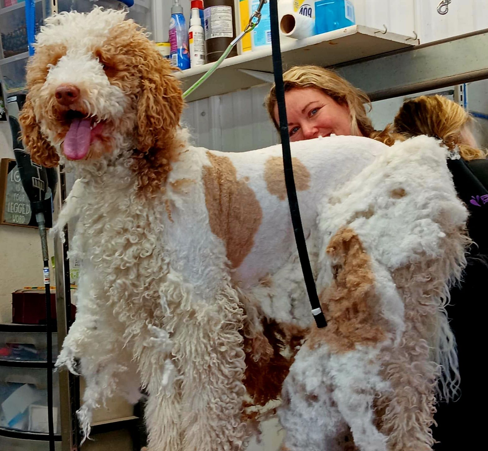 Richardson Kennel & Pet Groom Sturgis