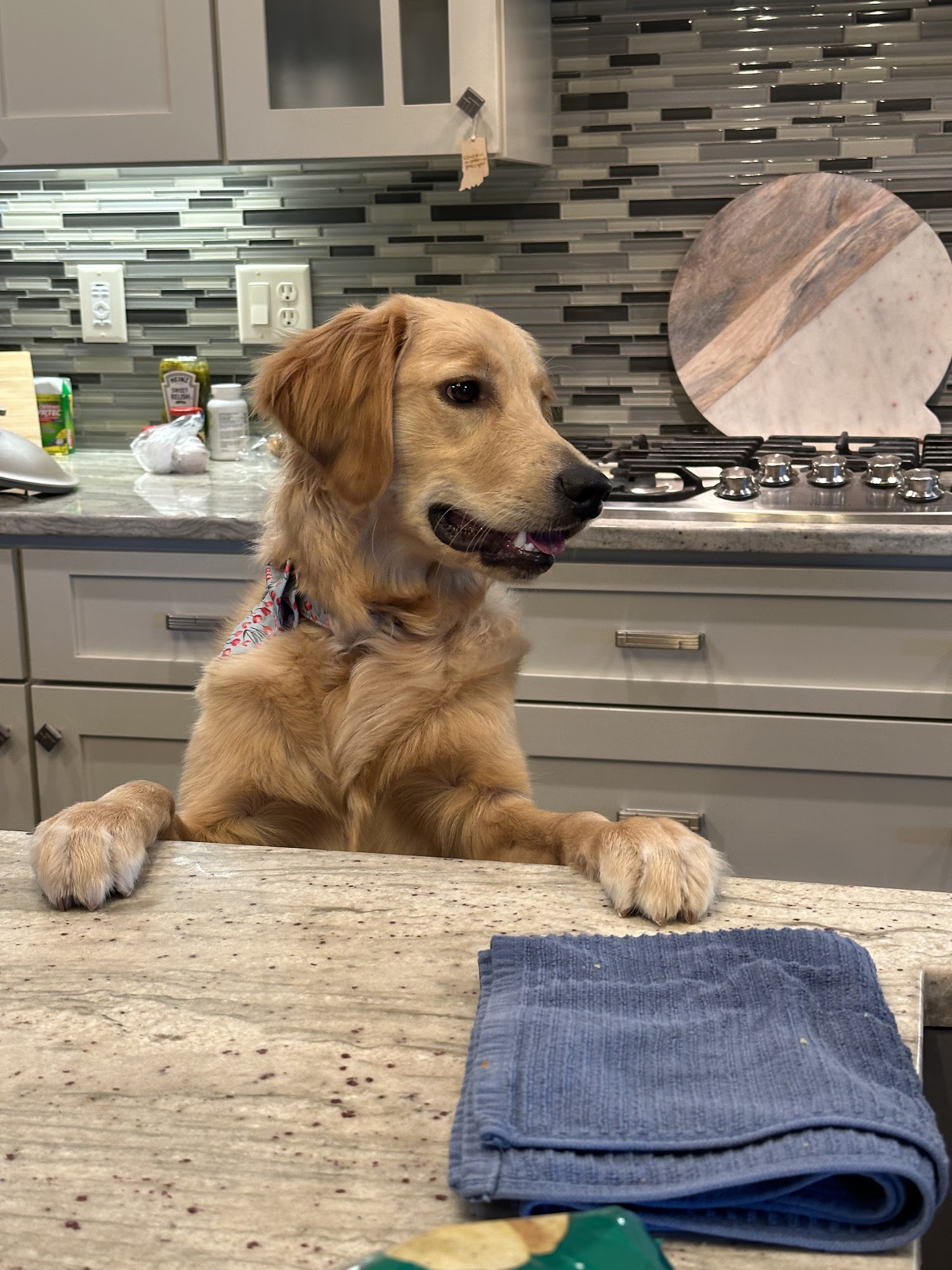 Tea Veterinary Clinic PC Tea