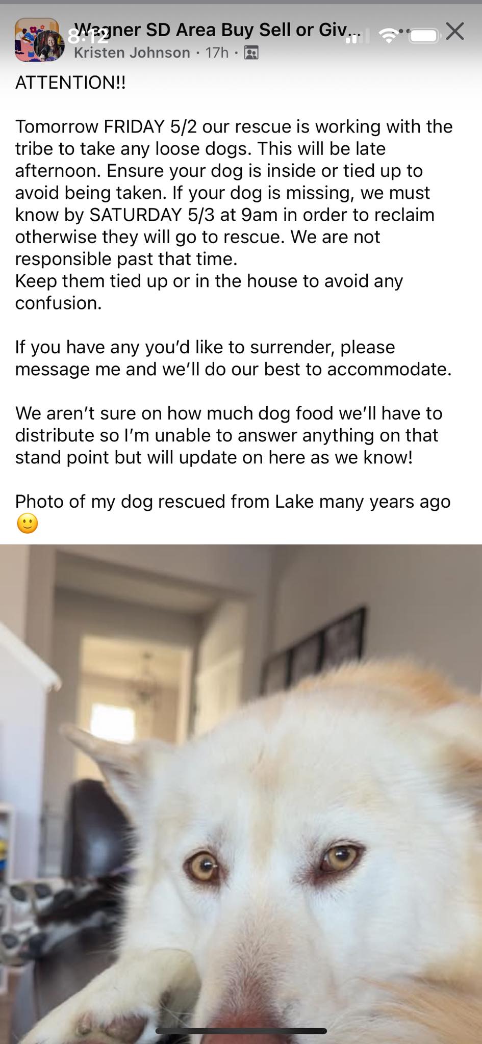 Just Paws With Lori Wagner