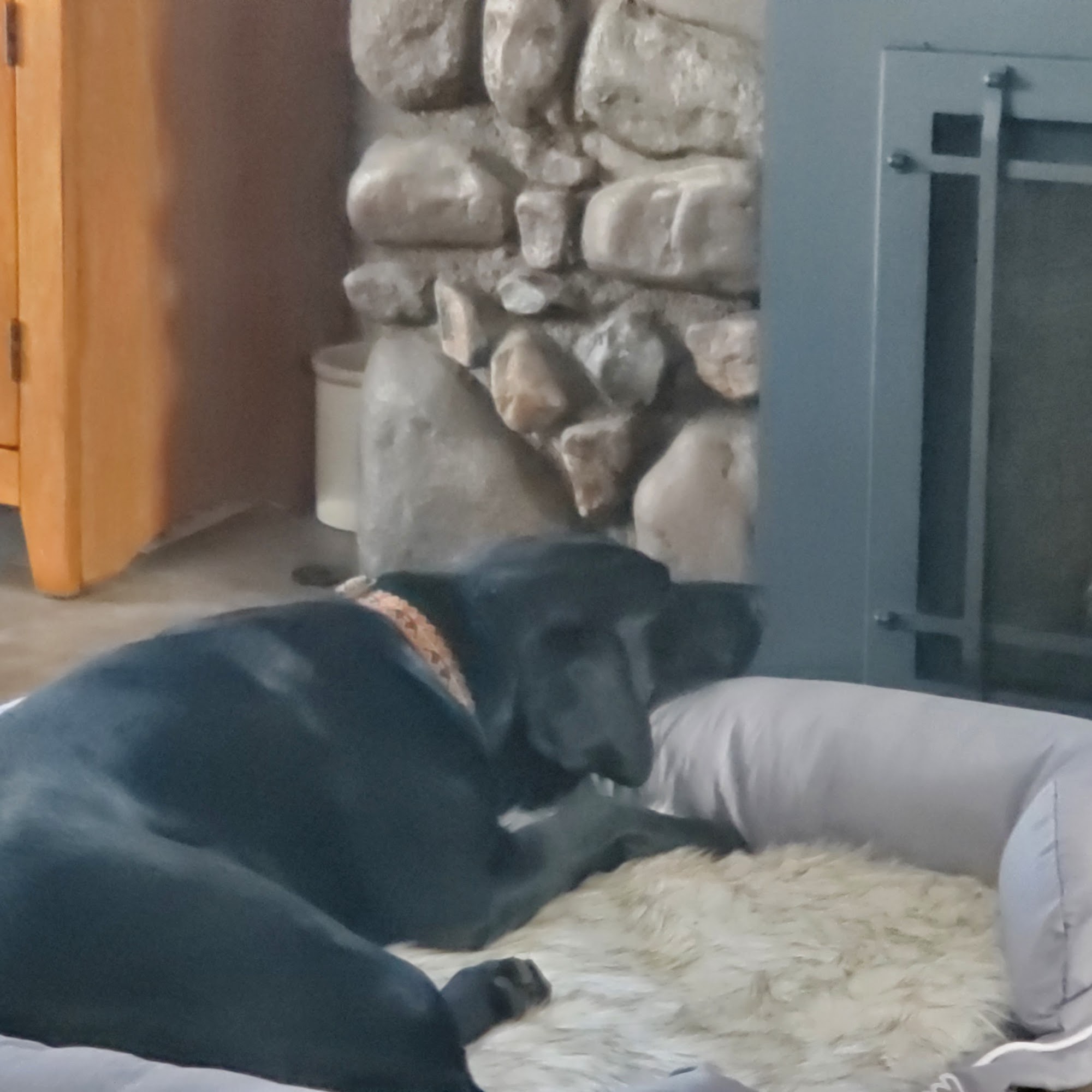 Lake Area Veterinary Clinic Watertown