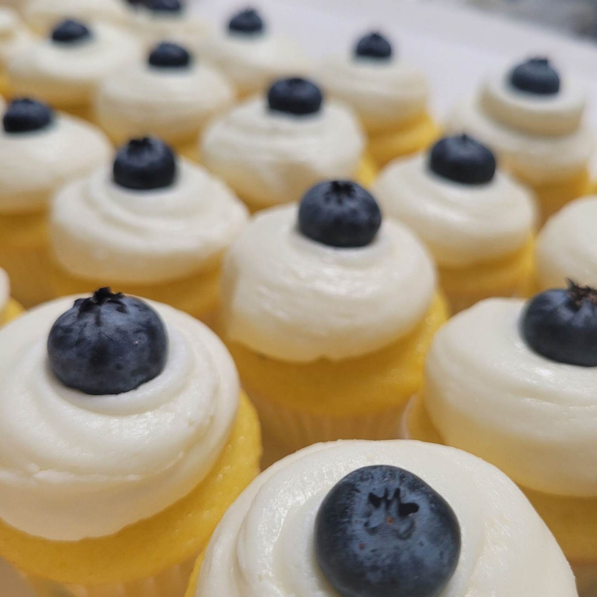 Sugar Rush Watertown