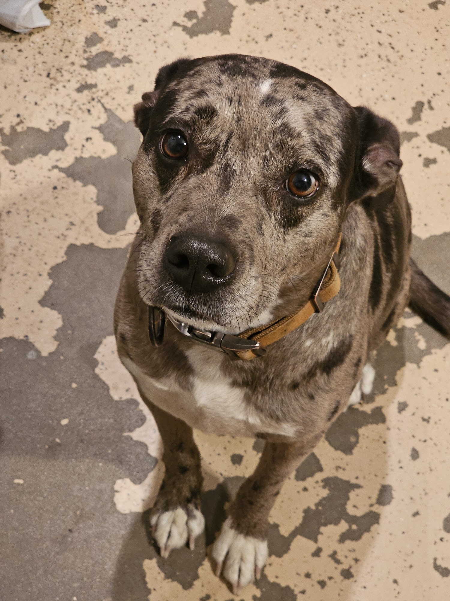 Heartland Humane Society Yankton