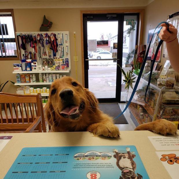 Veterinary Medical Clinic Yankton