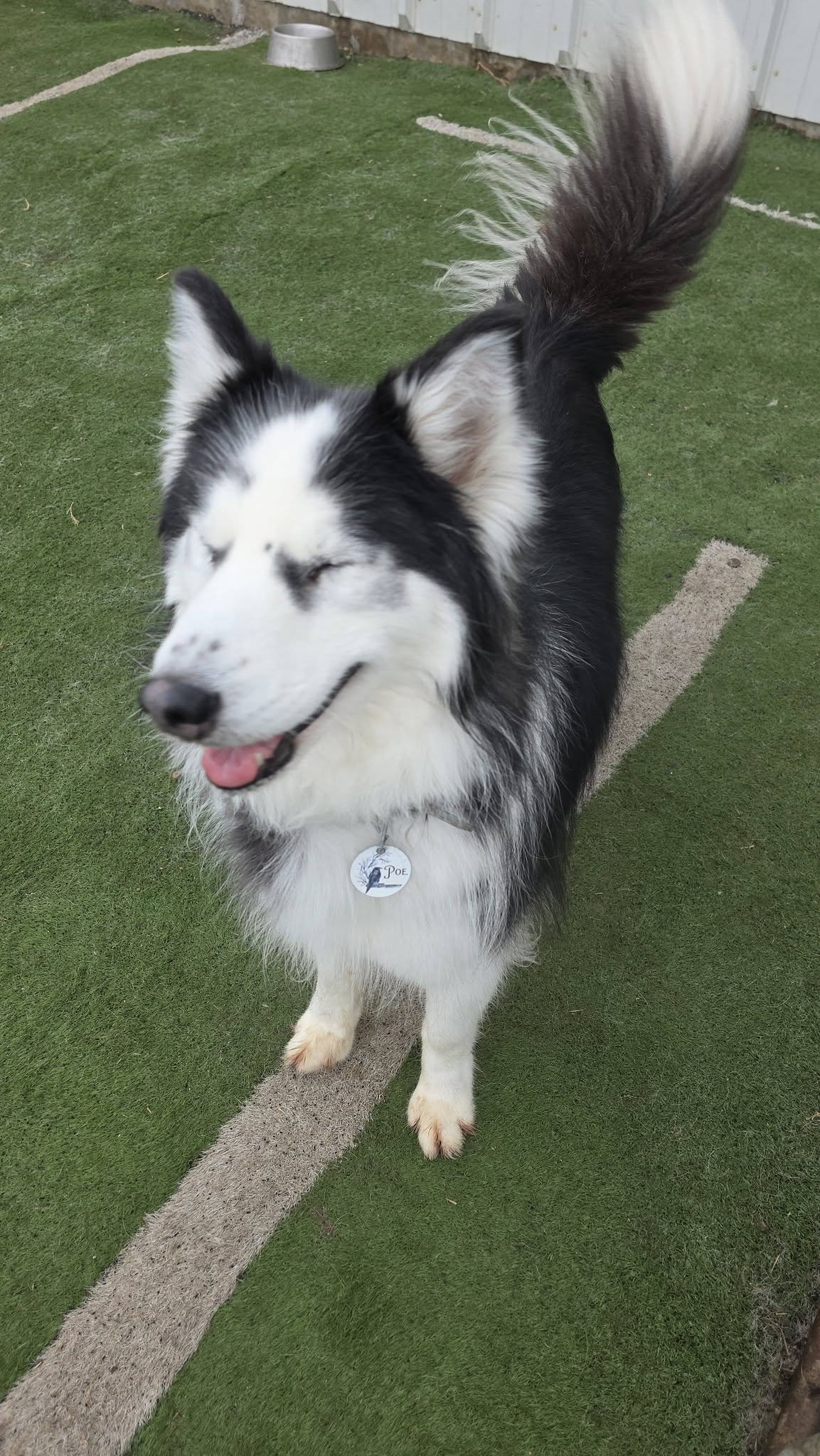 Red Hydrant Inn and Playground Yankton