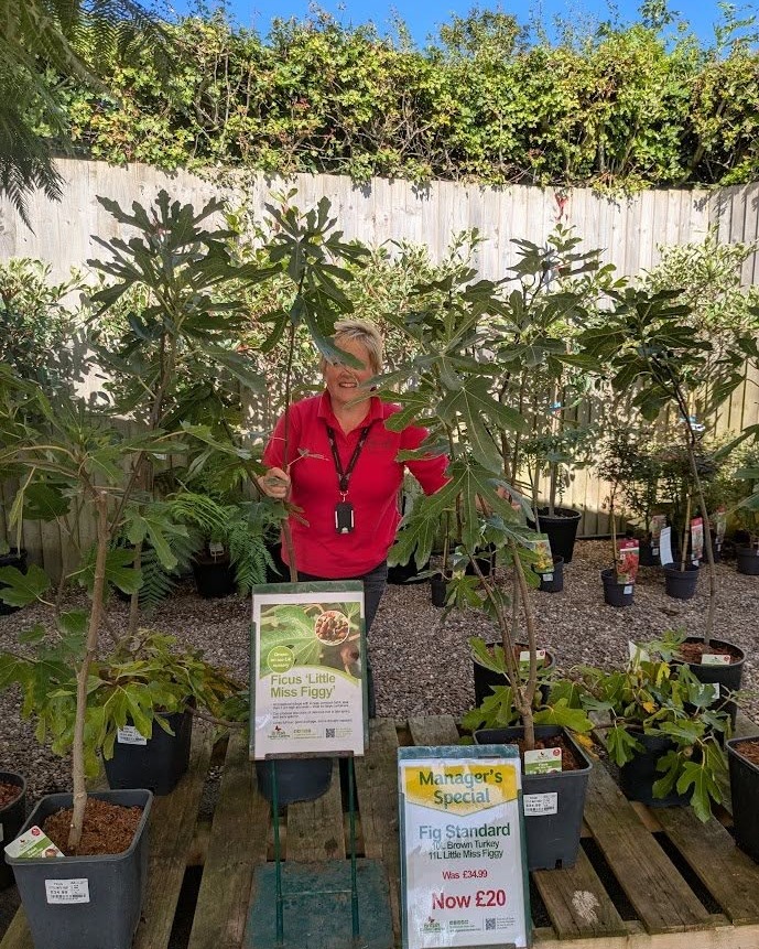 Albrighton Garden Centre