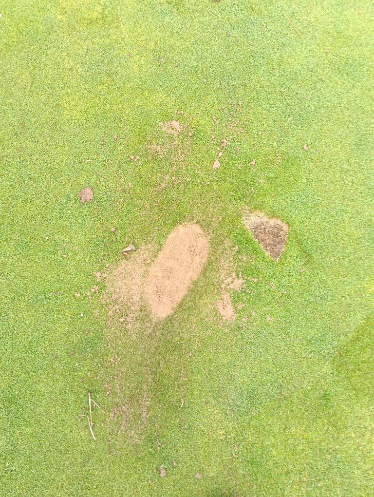 Mile End Golf Club