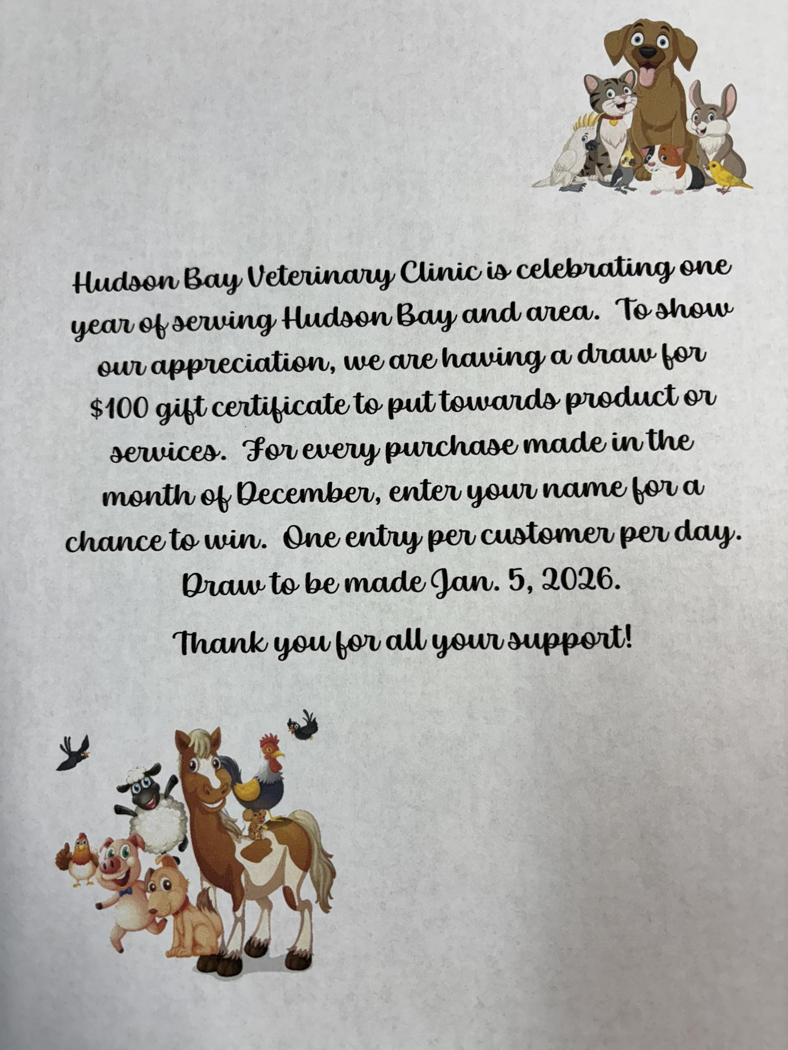 Hudson Bay Vet Services Ltd