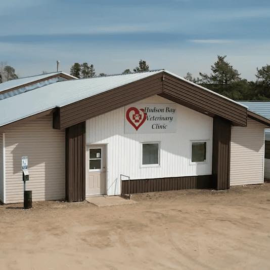 Hudson Bay Vet Services Ltd