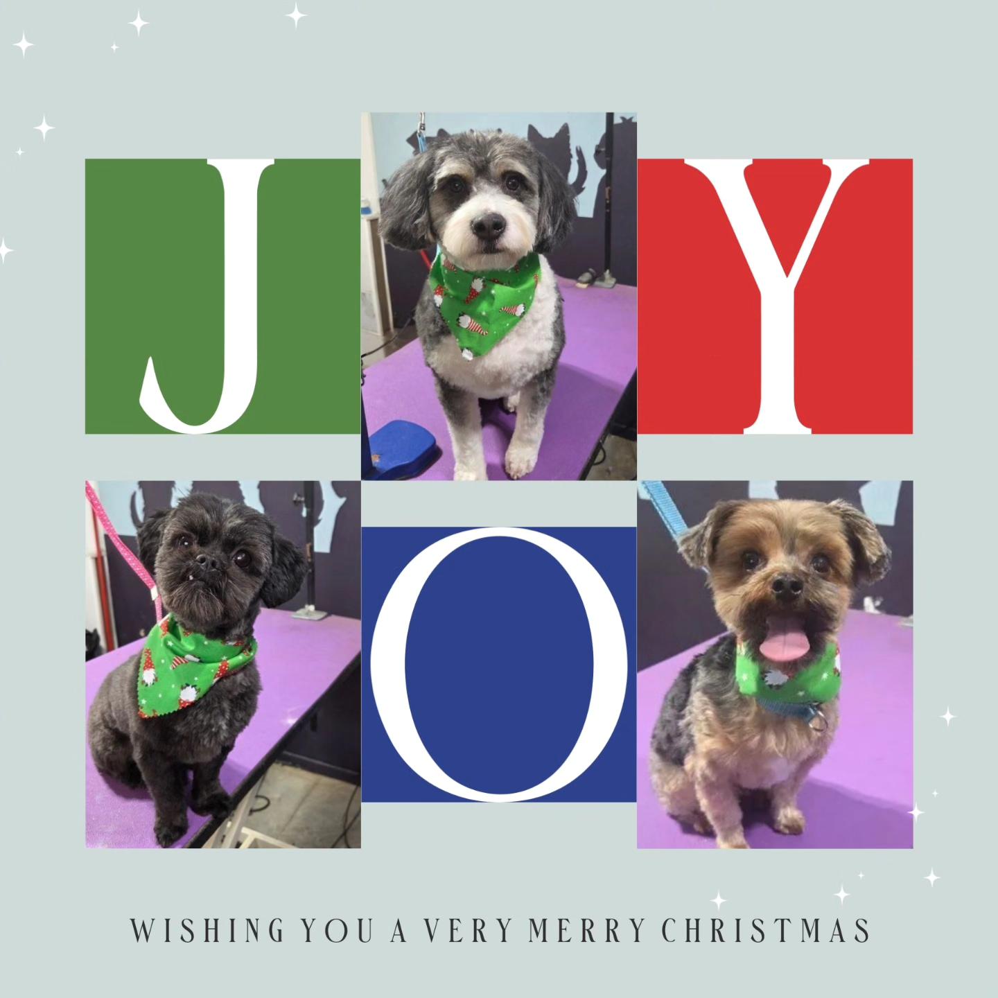 Ruff and Fluff Grooming Regina