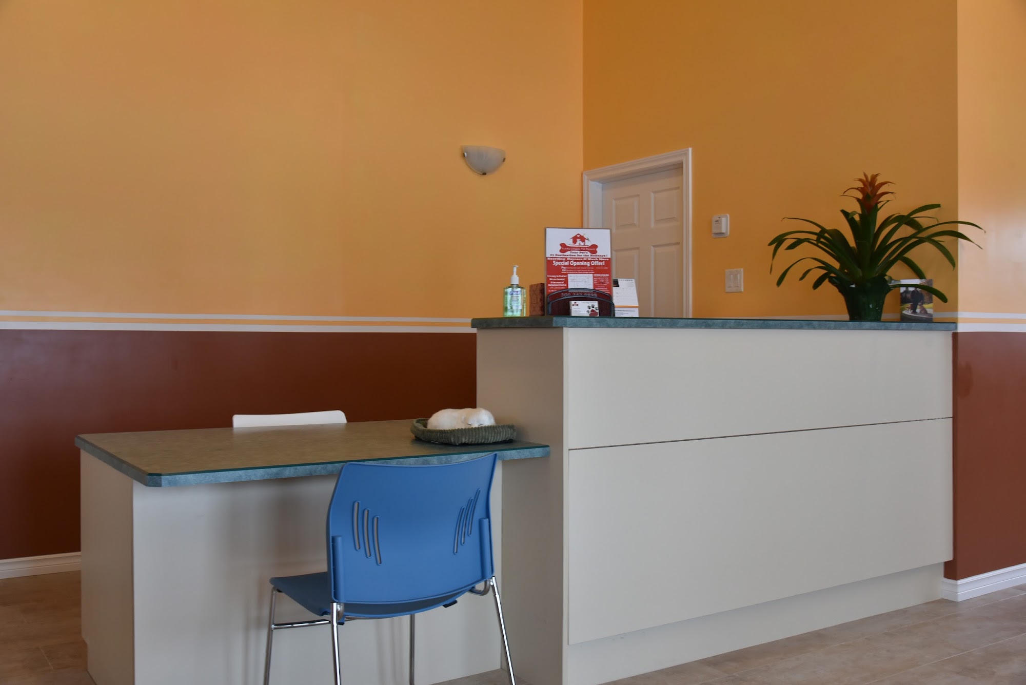 Lucky Doggy Pet Resort Saskatoon