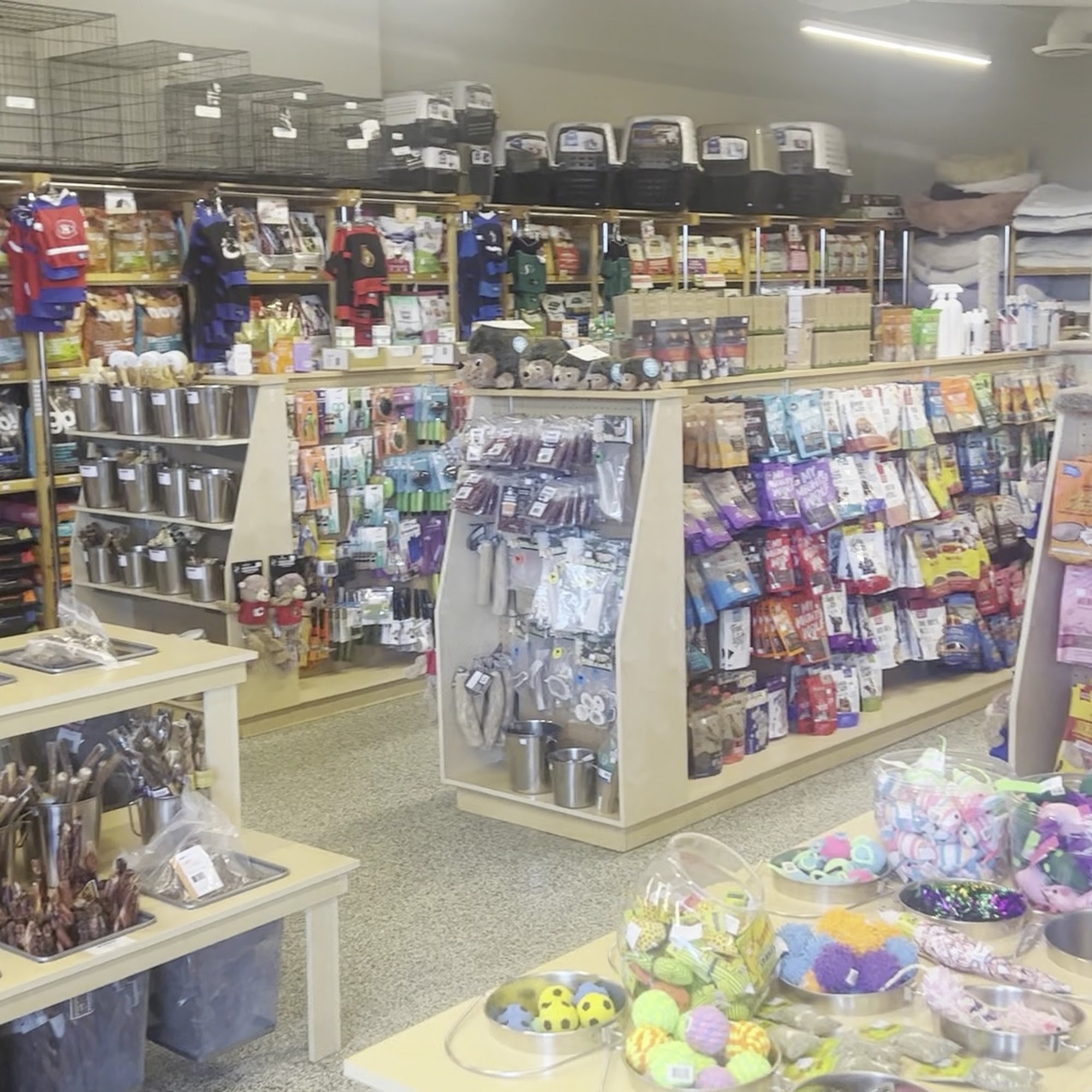 Pet Planet Cumberland Square Saskatoon