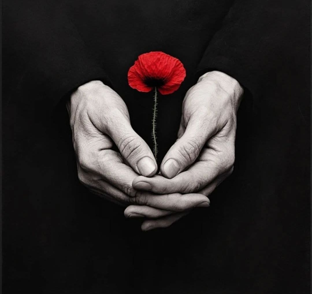 Strasbourg Dental Centre