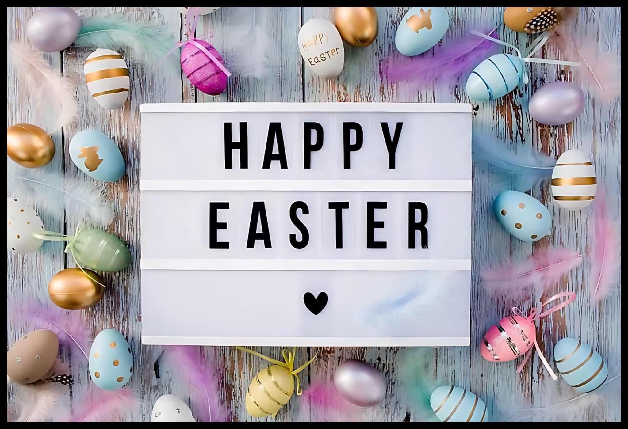 Leading Edge Hair Cutters