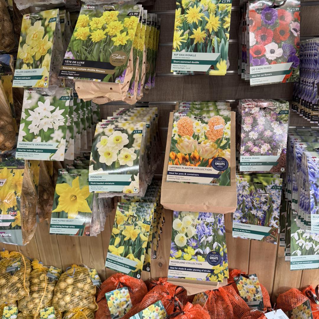Banwell Garden Centre