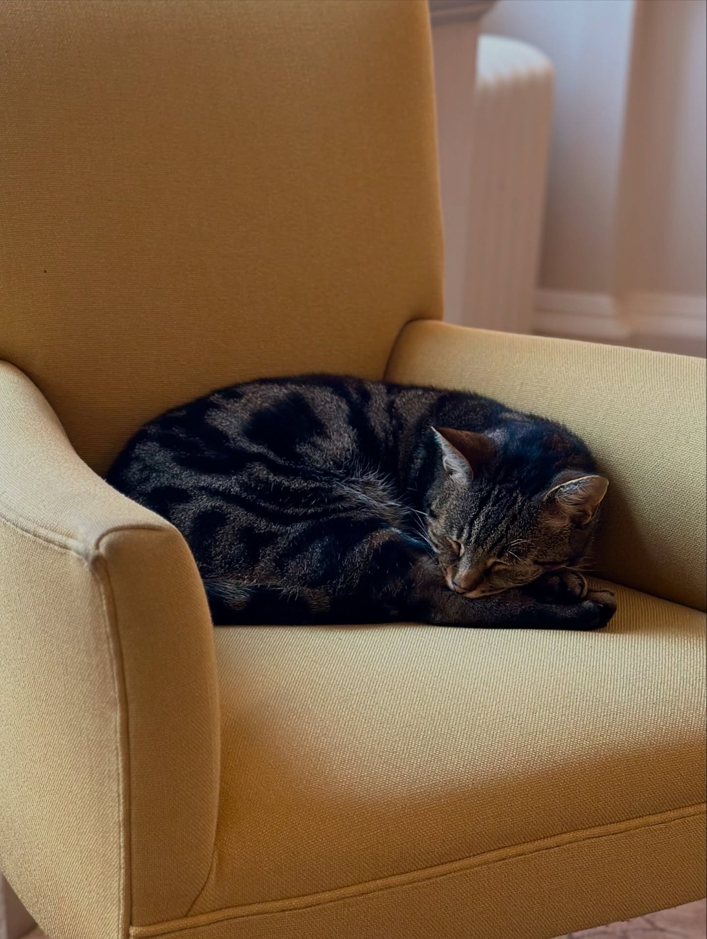 The Royal Crescent Hotel & Spa
