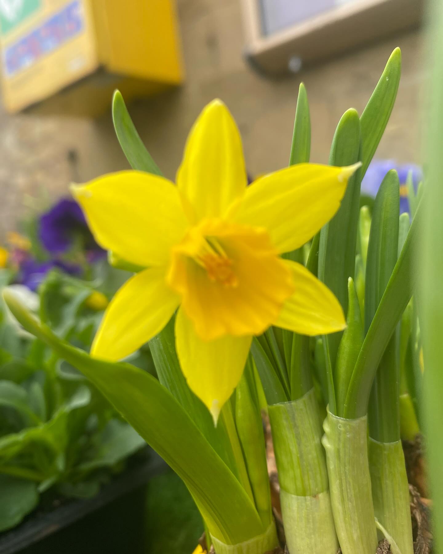 Bathford Village Shop