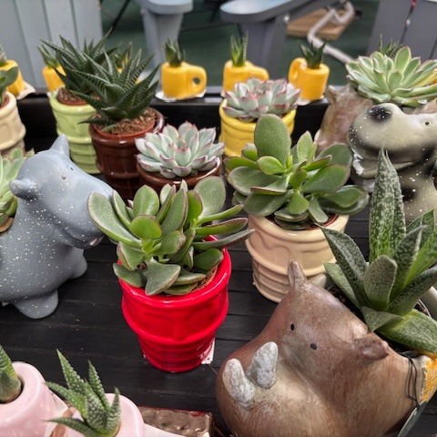West Somerset Garden Centre