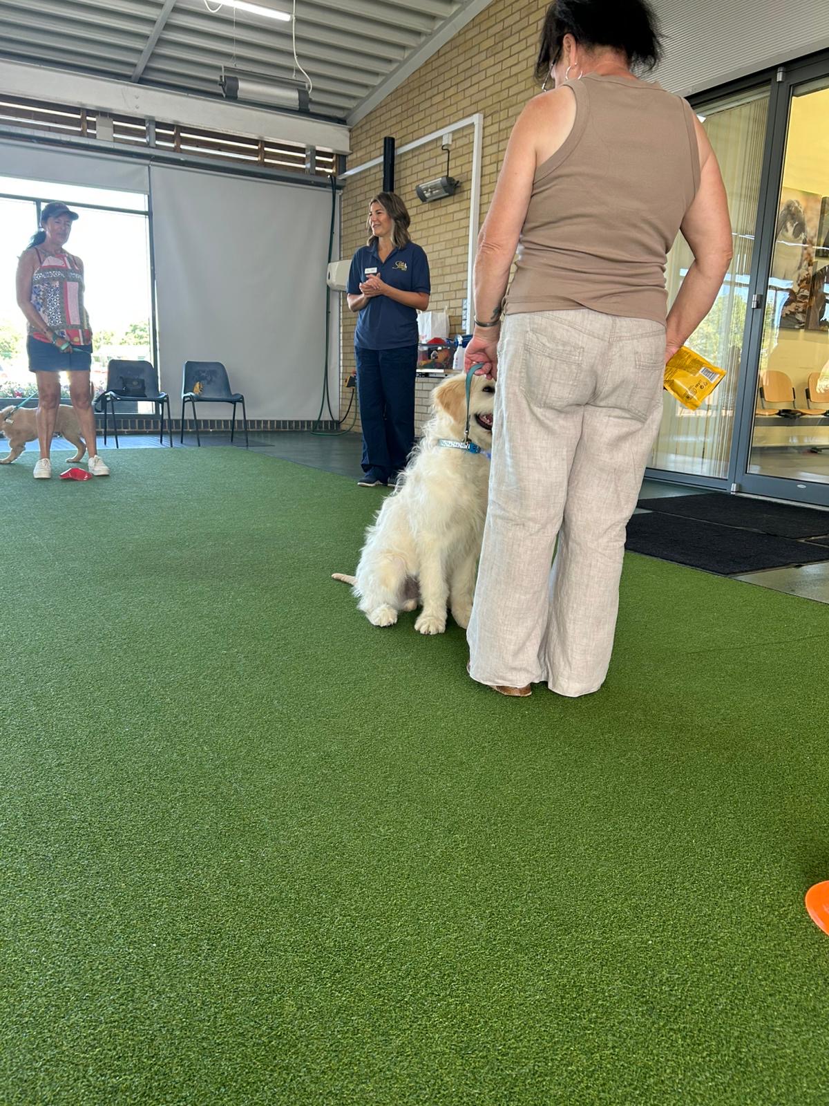 Pets Place Ipswich