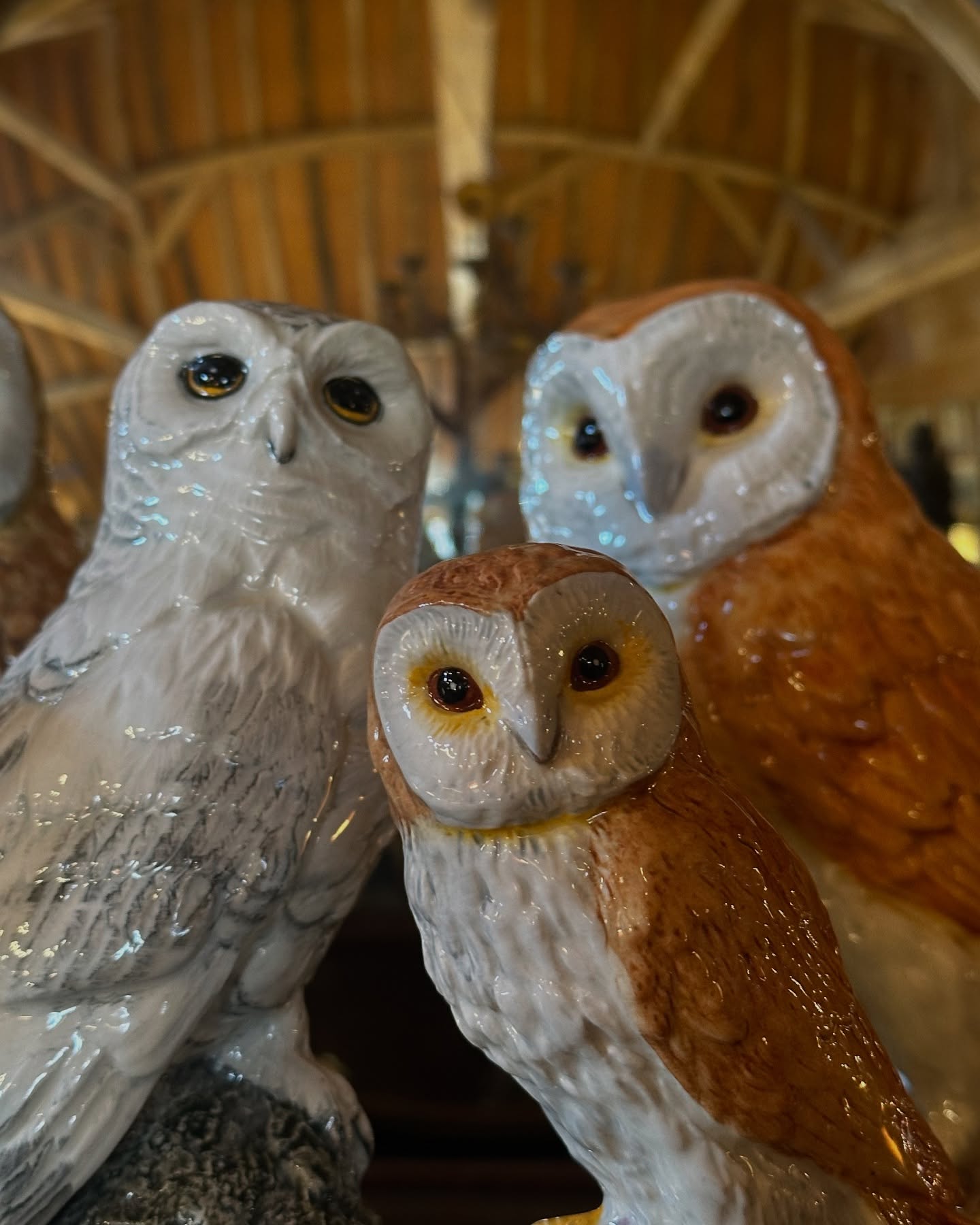 The Antiques Warehouse