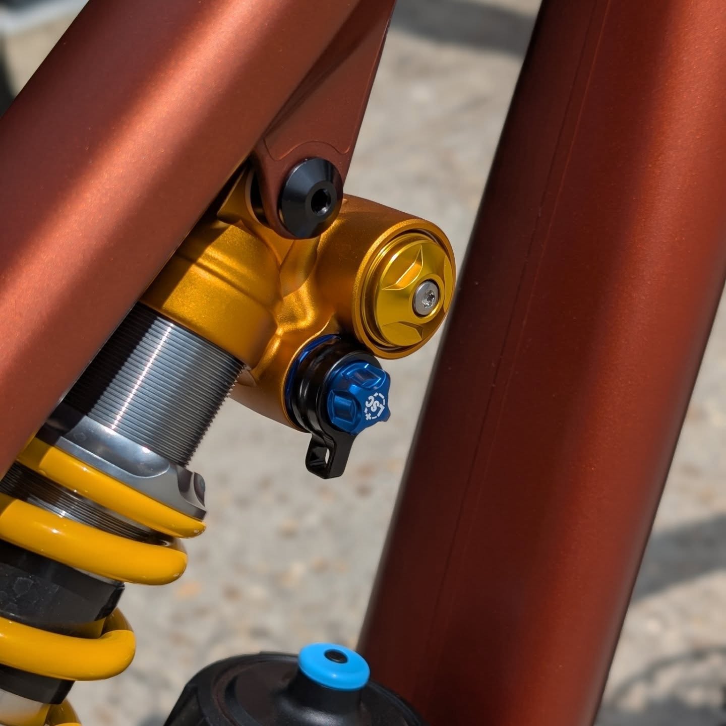 Hoops Velo