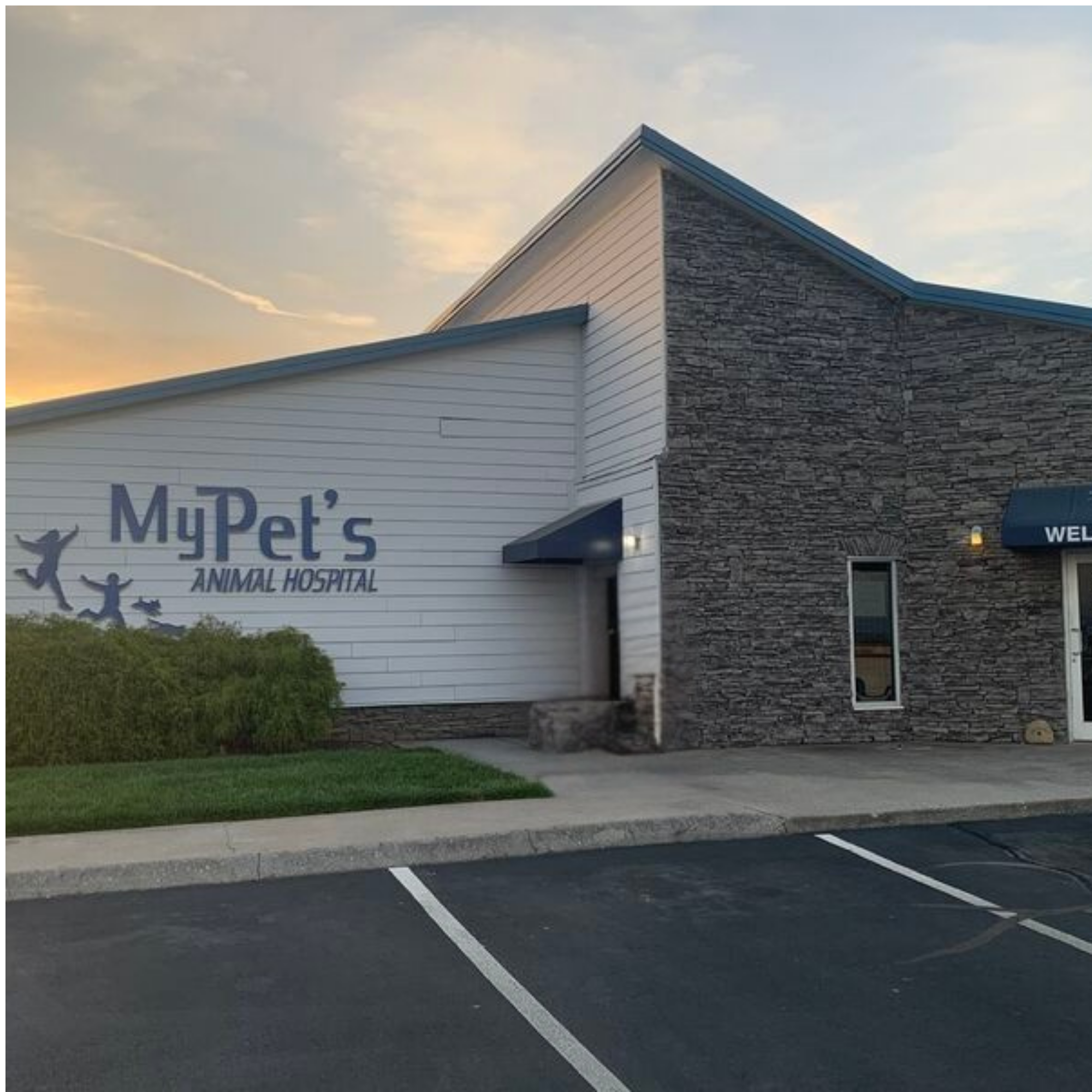 My Pet's Animal Hospital Alcoa