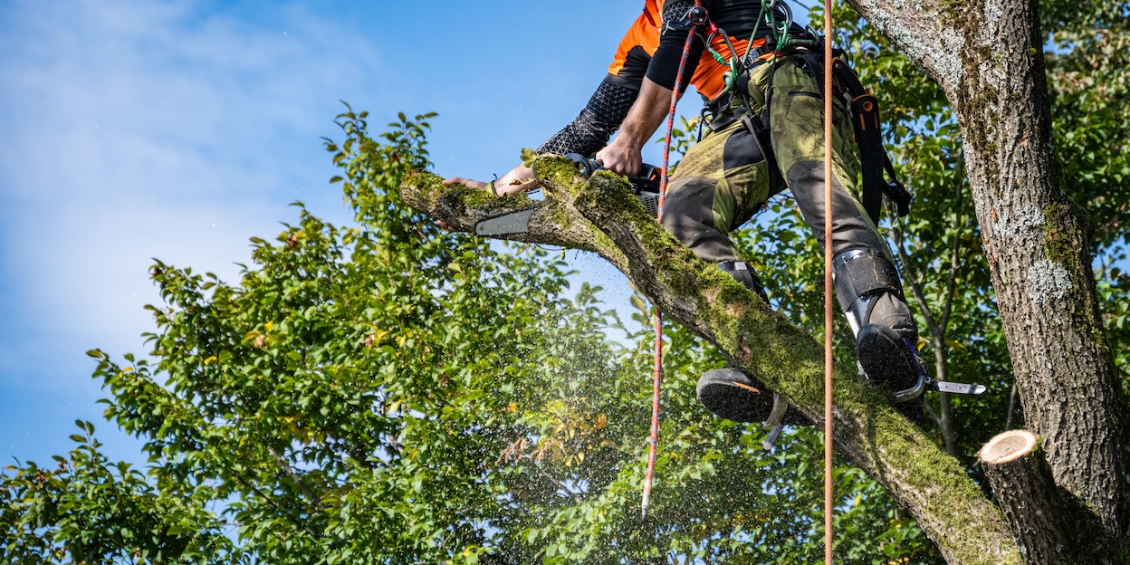 Lain's Tree Services Inc