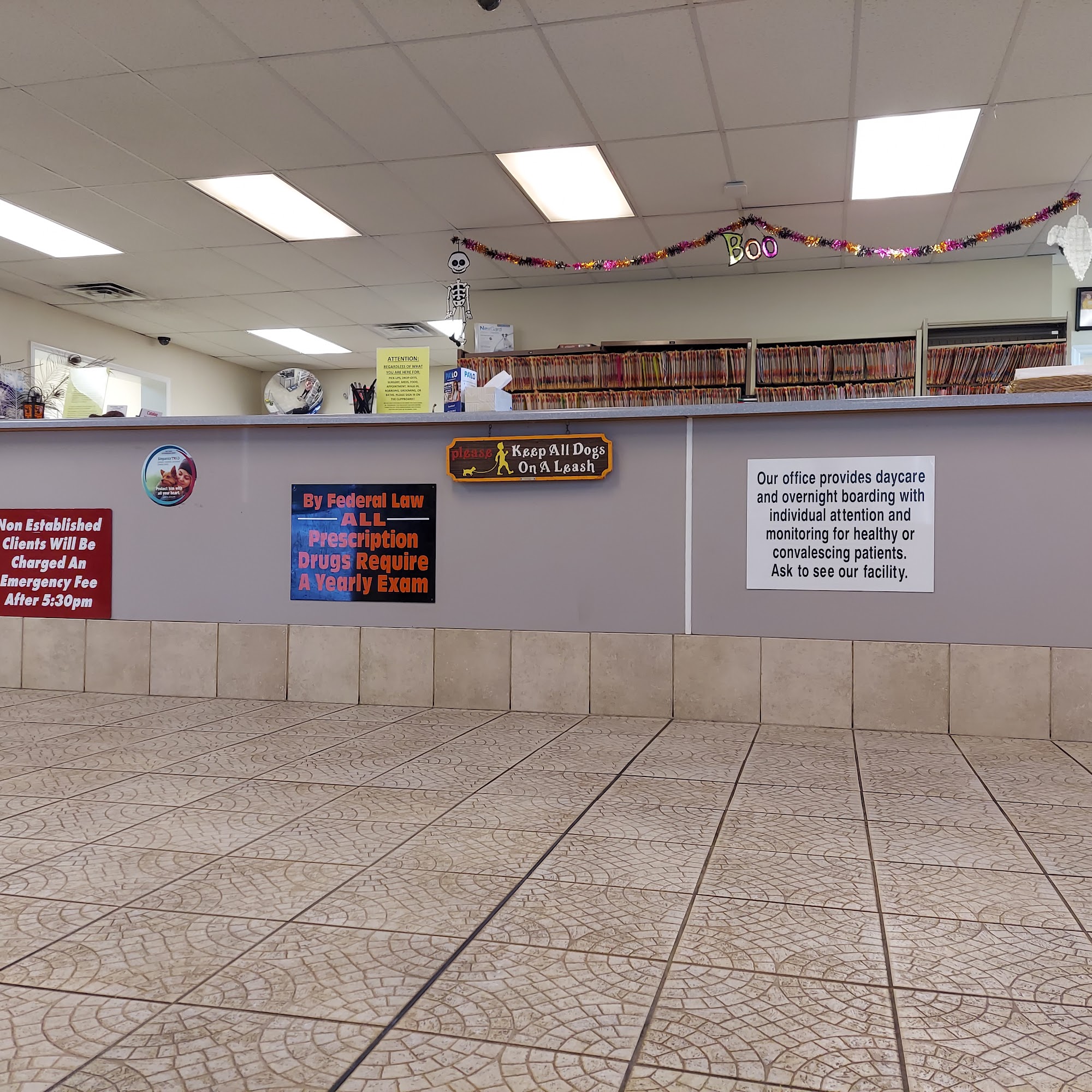 Animal Clinic of Athens Athens