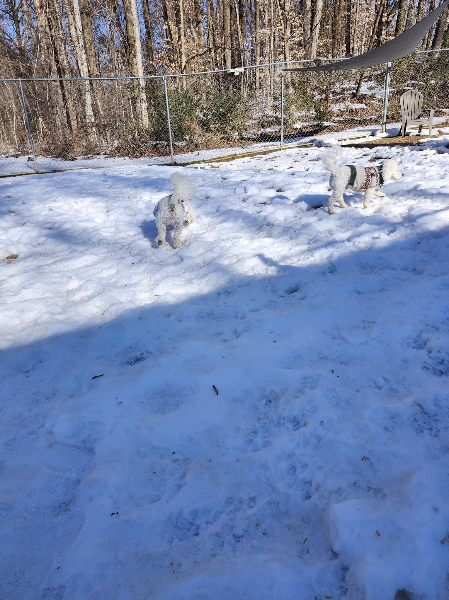 Ruff Country Dog Resort LLC - Tipton Atoka