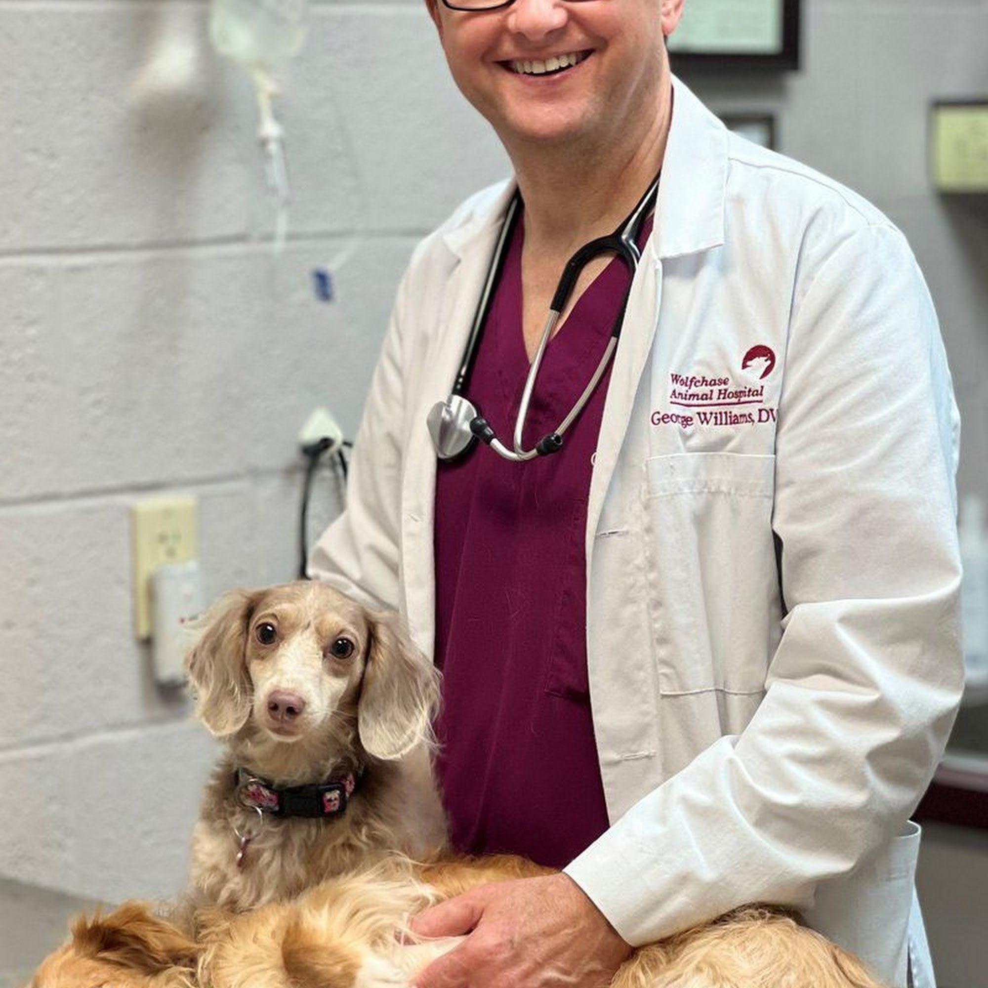 Wolfchase Animal Hospital Bartlett