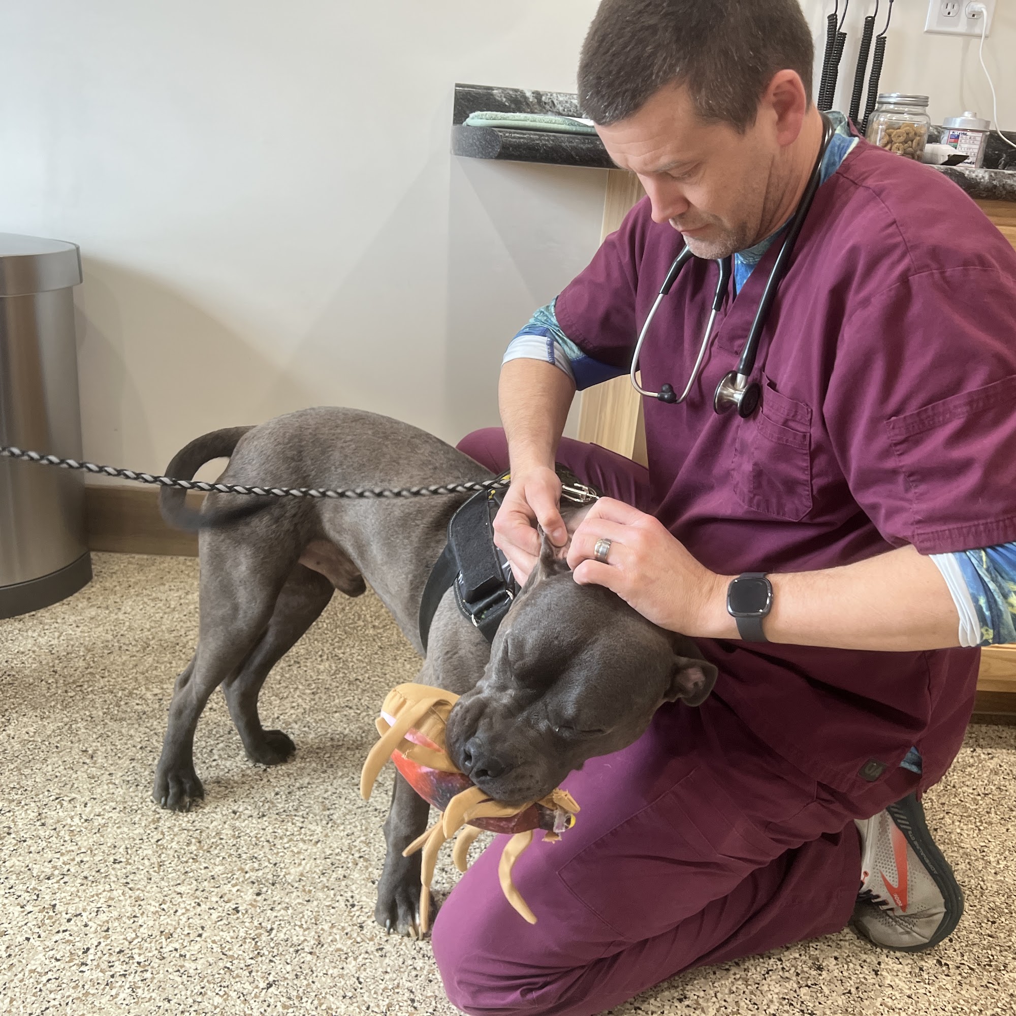 Paws of Hope Veterinary Clinic Bluff City