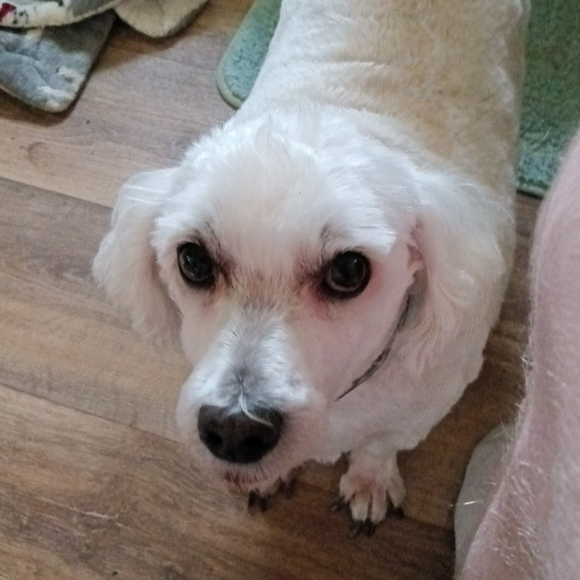 Bolivar Groom Room Bolivar