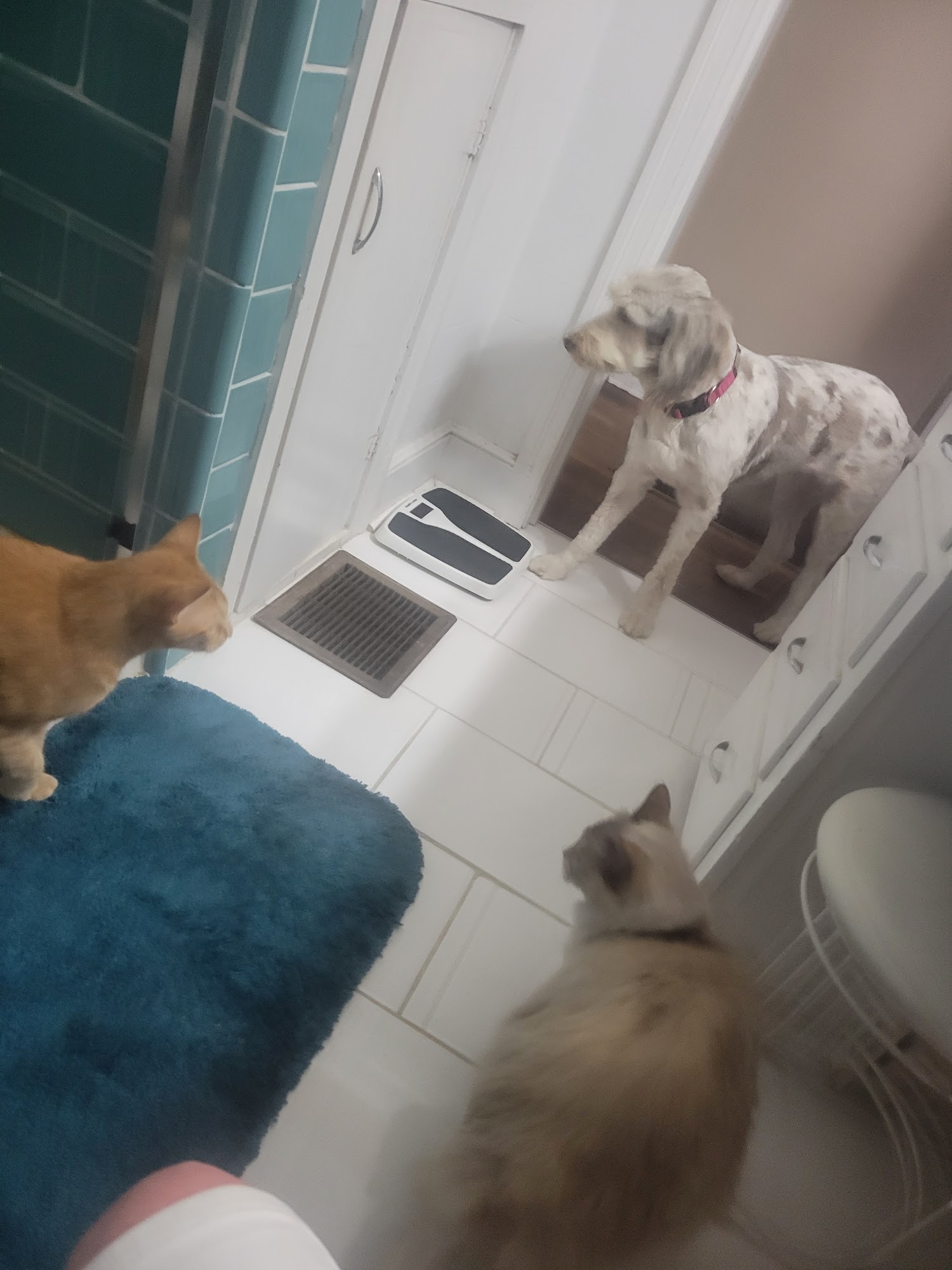 Bolivar Groom Room Bolivar