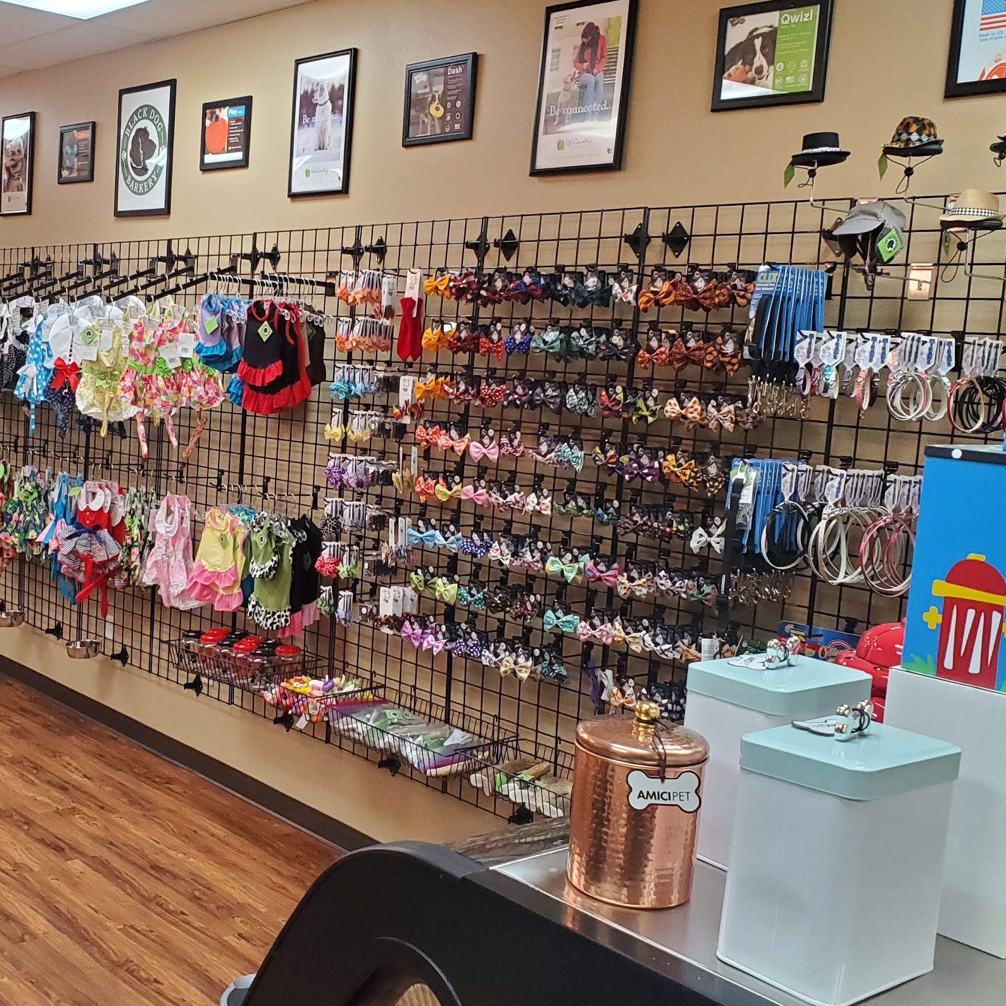 Black Dog Barkery LLC Bristol